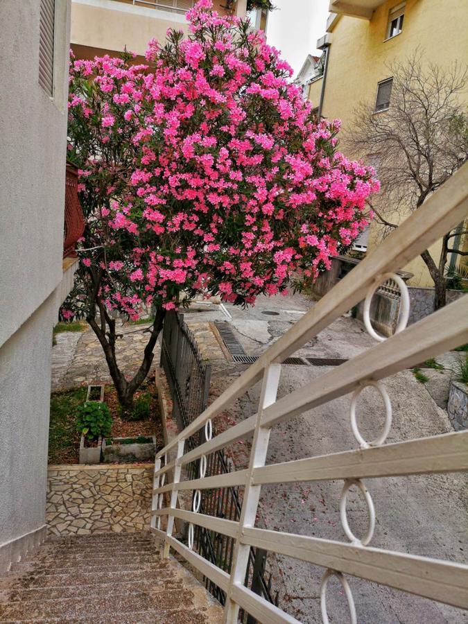 Vojinovic Apartments Budva Eksteriør bilde